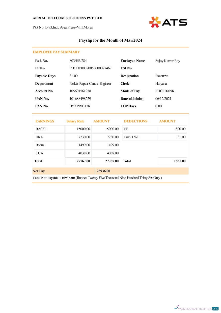 Download Aerial Telecom Solutions payslip template in Word and PDF formats.pdf, 1 Photoshop template